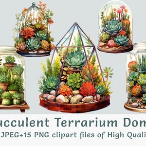 Acuarela Suculenta clipart 15 PNG y JPEG de alta calidad Cactus casa verde Vidrio geométrico floral imprimibles terrario cúpula clip art