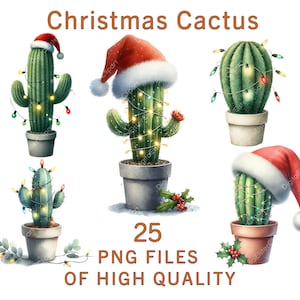 Clipart di cactus / 25 file PNG / Clipart natalizie ad acquerello / Pacchetto digitale di succulente festive / Stampabili per cappelli di Babbo Natale per uso commerciale