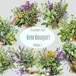 Ramo de hierbas clipart, 15 PNG de alta calidad, arte de pared de hierbas medicinales, ramo de hierbas para cocinar, pegatinas de alimentos para uso comercial cottagecore, arte de menú