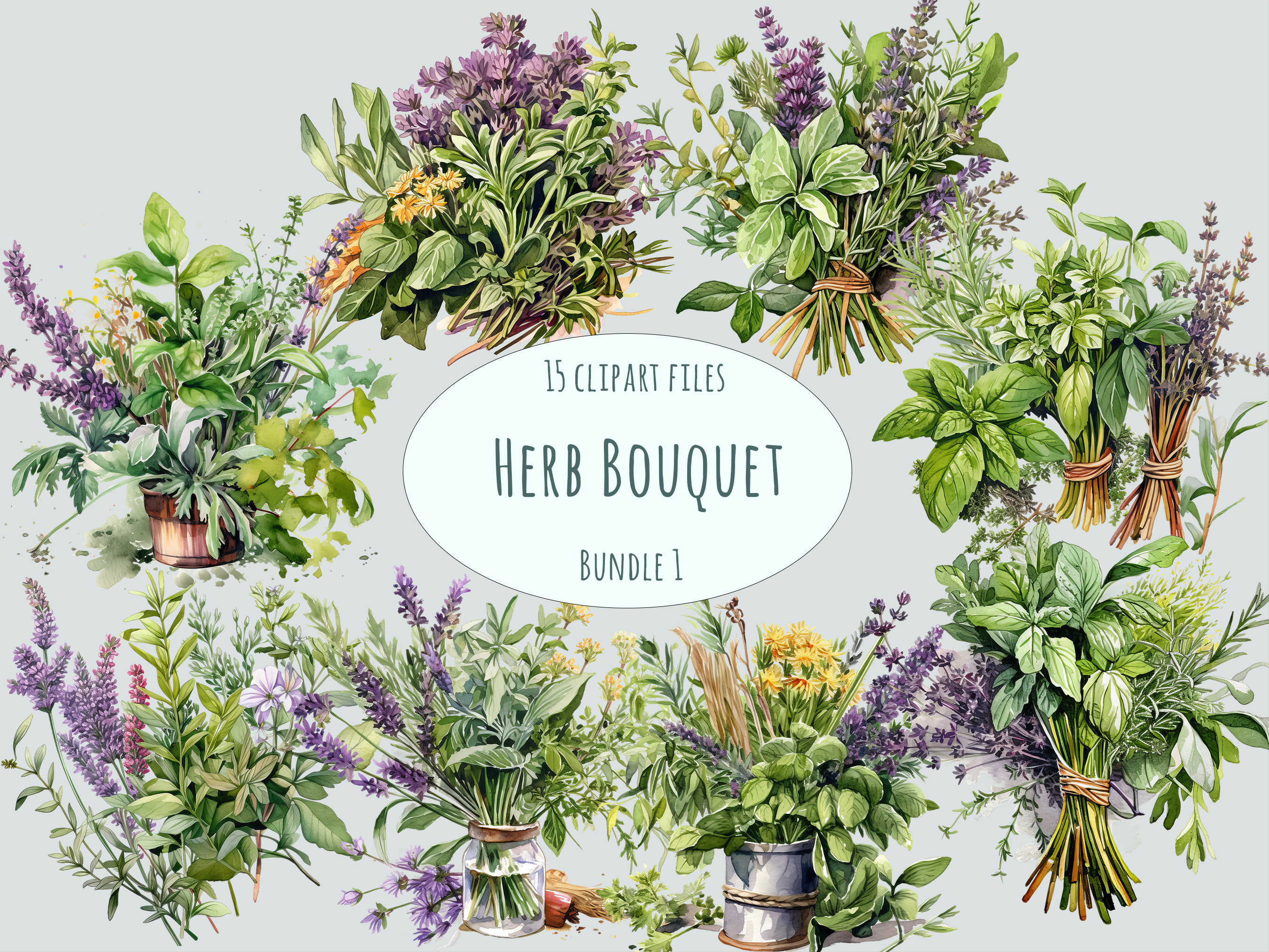 Herb bouquet 2024