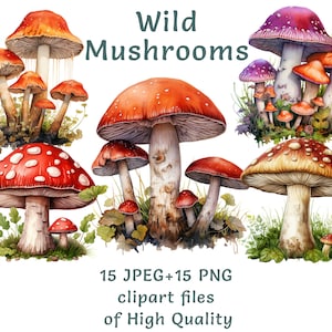 Clipart champignon | 15 PNG et JPEG | Clipart nourriture | Clipart forêt | Utilisation commerciale | Stickers plantes | Illustrations imprimables Cottagecore
