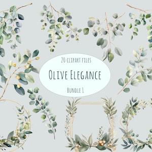 Clipart couronne d'olivier aquarelle - 20 fichiers PNG pour un usage commercial, art numérique rustique méditerranéen, téléchargement immédiat gagnant prix autocollants