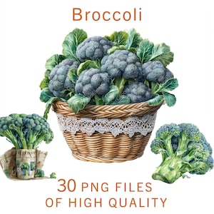 Clipart brocoli | 30 fichiers PNG | Clipart nourriture aquarelle | Utilisation commerciale | Clipart de légumes | Magasinez les autocollants | Images imprimables de la ferme