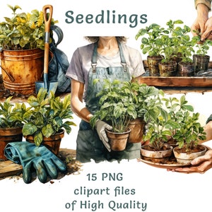 Conjunto de clipart de jardineiro - 20 mudas e plantas em aquarela PNG, perfeito para uso comercial, download instantâneo, kit digital de jardinagem doméstica de primavera