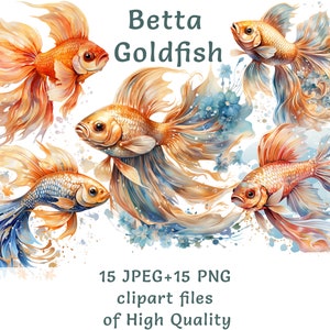 May include: Five watercolor illustrations of Betta Goldfish, each with a unique pose and color variation. The fish are depicted against a white background with blue and gold watercolor accents.