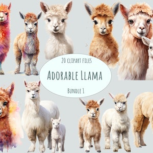 Lama Clipart | 20 PNG-Dateien | Aquarell Alpaka Digital Bundle | Kommerzielle Nutzung Tier Clipart | Sublimationsdruck Aufkleber Set | Kinderzimmer