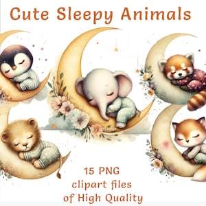 Clipart babydieren | 15 png-bestanden | Kwekerij-clipart | Clipart kinderen | Commercieel gebruik | Clipart kleine dieren | Stickers slaperige maan