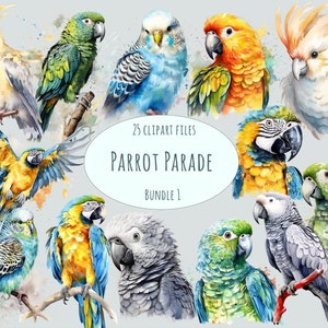 Papagei Clipart, 25 Aquarell tropische Vögel Aufkleber von hoher Qualität, PNG Sommerferien Printables, kommerzielle Tieraufkleber