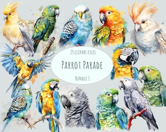 Parrot clipart, 25 Watercolor tropical birds stickers of high quality, PNG summer holiday printables, commercial use animal stickers