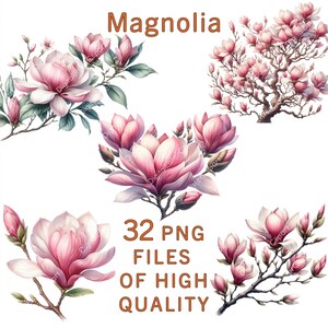Clipart di magnolia / 32 file PNG / Clipart di fiori ad acquerello / Adesivi floreali rosa / Uso commerciale / Pacchetto digitale primaverile / Arte per matrimoni