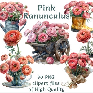 Clipart di ranuncoli / 30 file PNG / Clipart di acquerello rosa / Decorazioni floreali per uso commerciale / Clipart di fiori / Clipart di matrimonio / Arte della sposa