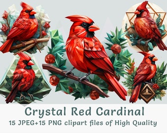 Red Cardinal Clipart bundle, Watercolor christmas clipart, Commercial use bird stickers, Sublimation print red bird clipart transparent png