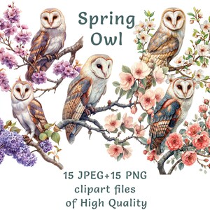 Eule Clipart | Schnee Eule Clipart | 15 PNG- und JPEG-Dateien | Aquarell Vogel Clipart | Kommerzielle Nutzung Natur Aufkleber | Frühlingsszene Aufkleber