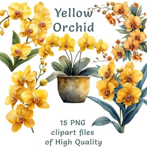 Orchid Orchidee Clipart | 15 PNG digitaler Download | Frühlings-gelbe Blumenkunst, Muttertag, Sublimation, Aufkleber, Einladungen und Kunsthandwerk