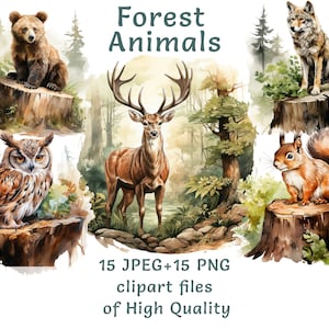Aquarel bos dieren clipart, 15 hoge kwaliteit png en jpeg, dieren voor commercieel gebruik, bosuil op een boomstronk, printables kinderkamer clip art