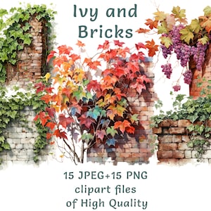 Brick wall clipart | 15 PNG and JPEG | Watercolor Vines wall digital clipart | Commercial use Ivy plant, High quality sublimation printables