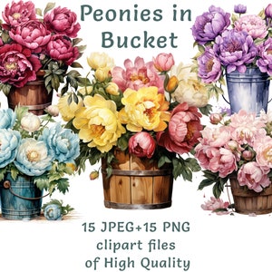 Clipart bouquet de pivoine, 15 motifs floraux aquarelle PNG & JPEG, art floral élégant pour travaux manuels, usage Commercial, clipart mariage automne