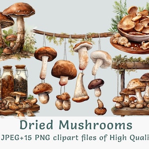 Clipart de cogumelos aquarela 15 PNGs e JPEGs de alta qualidade Clipart de cogumelos secos uso comercial Cogumelos em fio clipart cottagecore