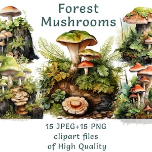 Aquarell Waldpilz Clipart, 15 hochwertige PNG und JPEG, Pilz Wald Aufkleber, Pilze Stump Printables Fliegenpilz Essen Clipart