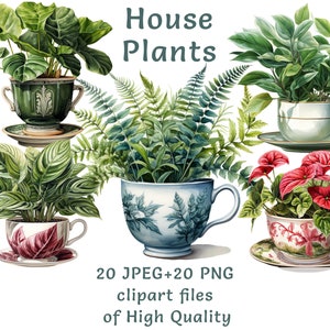 Clipart de plantas | Plantas de casa em xícaras de porcelana | 20 PNG e JPEG | Uso comercial | Ilustrações botânicas em aquarela | Impressão por sublimação