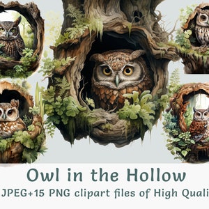 Aquarel uil clipart 15 hoge kwaliteit png- en jpeg-bestanden uil in holle illustratie kinderkamerstickers bos vogel clip art commercieel gebruik