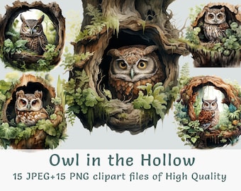 Watercolor Owl Clipart 15 High quality PNG and JPEG files owl in hollow illustration nursery stickers forest Bird clip art commercial use