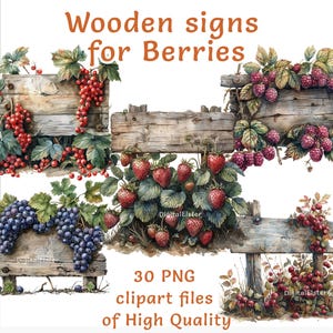 Holzschild Clipart | 30 PNG-Dateien | Aquarell Cottagecore Dekor | Kommerzielle Nutzung Küchenetiketten | Beeren Clipart | Sublimationsdruck
