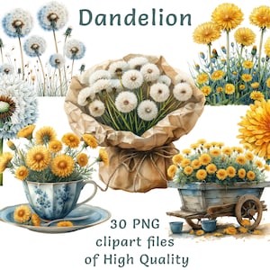 Clipart di tarassaco / 30 file PNG / Adesivi di fiori gialli acquerellati / Uso commerciale / Stampabili primaverili / Tarassaco bianco / Sublimazione