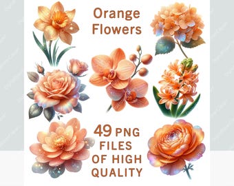 May include: A collection of watercolor-style orange flowers, including a daffodil, rose, orchid, and others. The image includes the text "Orange Flowers" and "49 PNG FILES OF HIGH QUALITY". The flowers are in various stages of bloom.