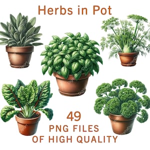 Kookkruiden in pot clipart | 49 png-bestanden | Medische kruidenstickers | Illustraties in aquarelpot van klei | Voedselclipart | Commercieel gebruik