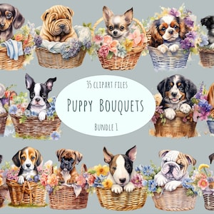 Hunderasse Clipart Bundle | 30 PNG digitaler Download | Aquarell Welpen in Blumenkörben, Haustierkunst für Sublimation, Aufkleber & Kunsthandwerk