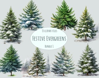 Watercolor Christmas Tree Clipart, 15 Snowy Fir PNGs, Winter Forest Graphics, Holiday Card Design, Commercial Use Download