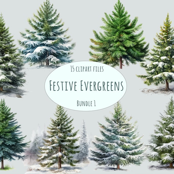 Watercolor Christmas tree clipart, 15 High quality PNG Decorated Evergreen Fir Pine tree, baubles card making printables winter stickers