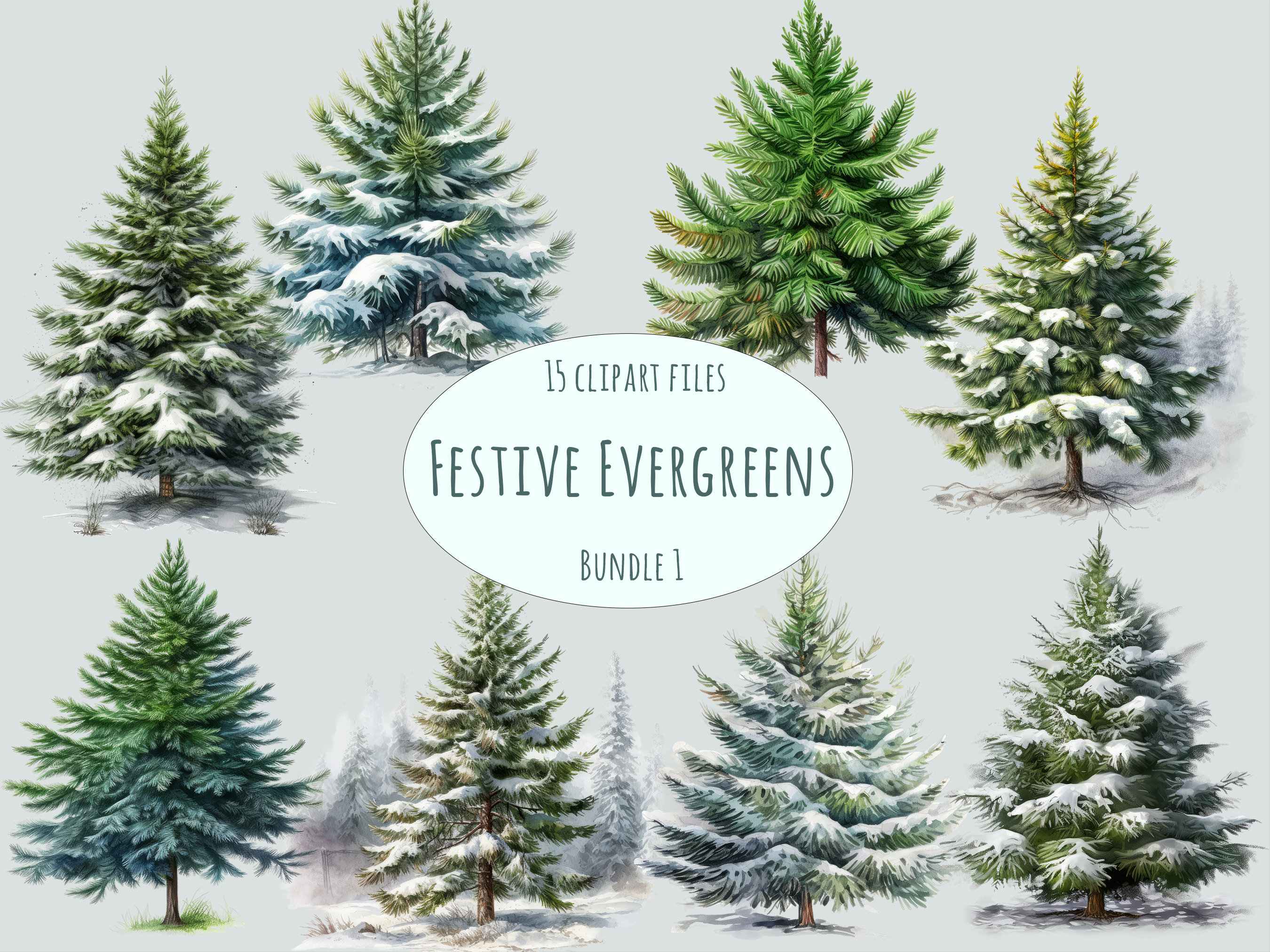 Winter Greenery Leaves Clipart, Winter Greenery Clip Art, Christmas Leaves,  Berries, Holly Watercolor Clipart Eucalyptus Mistletoe Clipart 