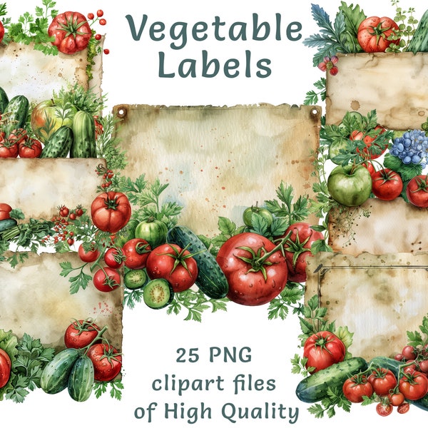 Légume étiquettes Clipart - 25 fichiers PNG aquarelle, étiquettes de produits de jardin personnalisées pour un usage commercial, téléchargement immédiat, pots autocollants, art culinaire