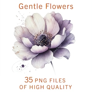 Clipart de flores / 35 archivos PNG / Clipart floral de acuarela / Uso comercial / Scrapbooking digital / Manualidades de primavera / Clipart de boda