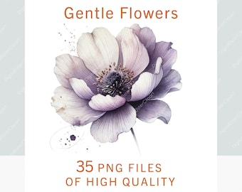 Flowers Clipart Bundle, Watercolor floral stickers, Sublimation print wedding stickers, Commercial use bride transparent png pack