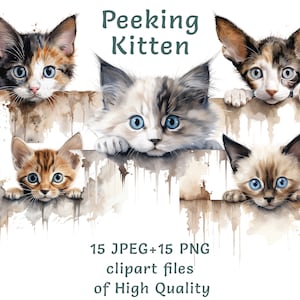Clipart chaton | 15 PNG et JPEG | Clipart chats furtifs à l'aquarelle | Autocollants pour animaux de compagnie à usage commercial | Lot numérique d'impression par sublimation