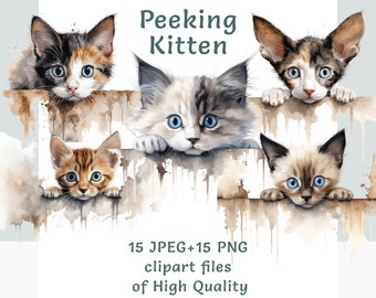 Peeking Kitten Nursery Clipart Bundle, Watercolor Baby Cat PNG and JPEG, Cute Kids Animal Clipart, Transparent Background
