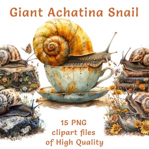 Clipart reuzenslak | 15 Cottagecore-slak en theekopje, png | Grillige natuurillustratie, oude boeken kunst afdrukbare muurdecoratie, rustieke afbeeldingen