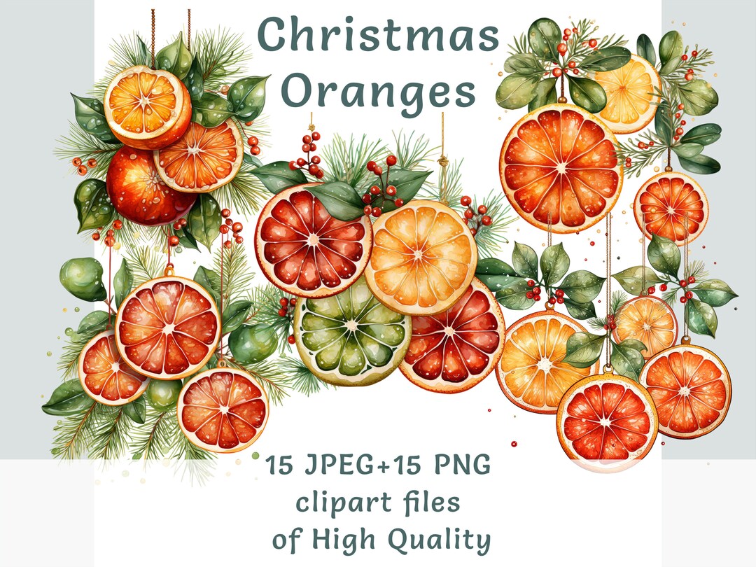 Christmas Citrus Clipart Collection, 15 Watercolor Oranges PNG/JPEG, Festive Holiday Digital Art for Commercial Use Colored Fruit Printables - Etsy Denmark