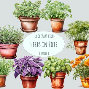 Clipart de pote de ervas, 15 potes de ervas de argila em aquarela com várias ervas em PNG, ilustrações botânicas, arte de horta para uso comercial