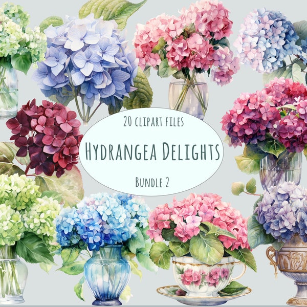 Hydrangea Clipart Collection - 20 Watercolor PNG, Commercial Use, Floral Digital Art, Botanical Illustrations for Creative Wedding Projects