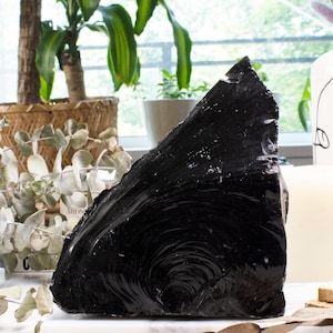 Black obsidian crystal takes the spotlight on a sleek marble backdrop adorned with dried flowers and lush plants, creating a captivating contrast between the crystal's intensity and the soothing beauty of nature.