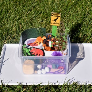 Sensory bin: DINO Forest