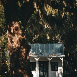 Cottage and Live Oak with Spanish Moss