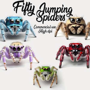 50 kleurrijke Jumping Spider PNG Clipart, aquarel Spider Clip Art, schattige realistische Spider, 5 kleuren, witte achtergrond