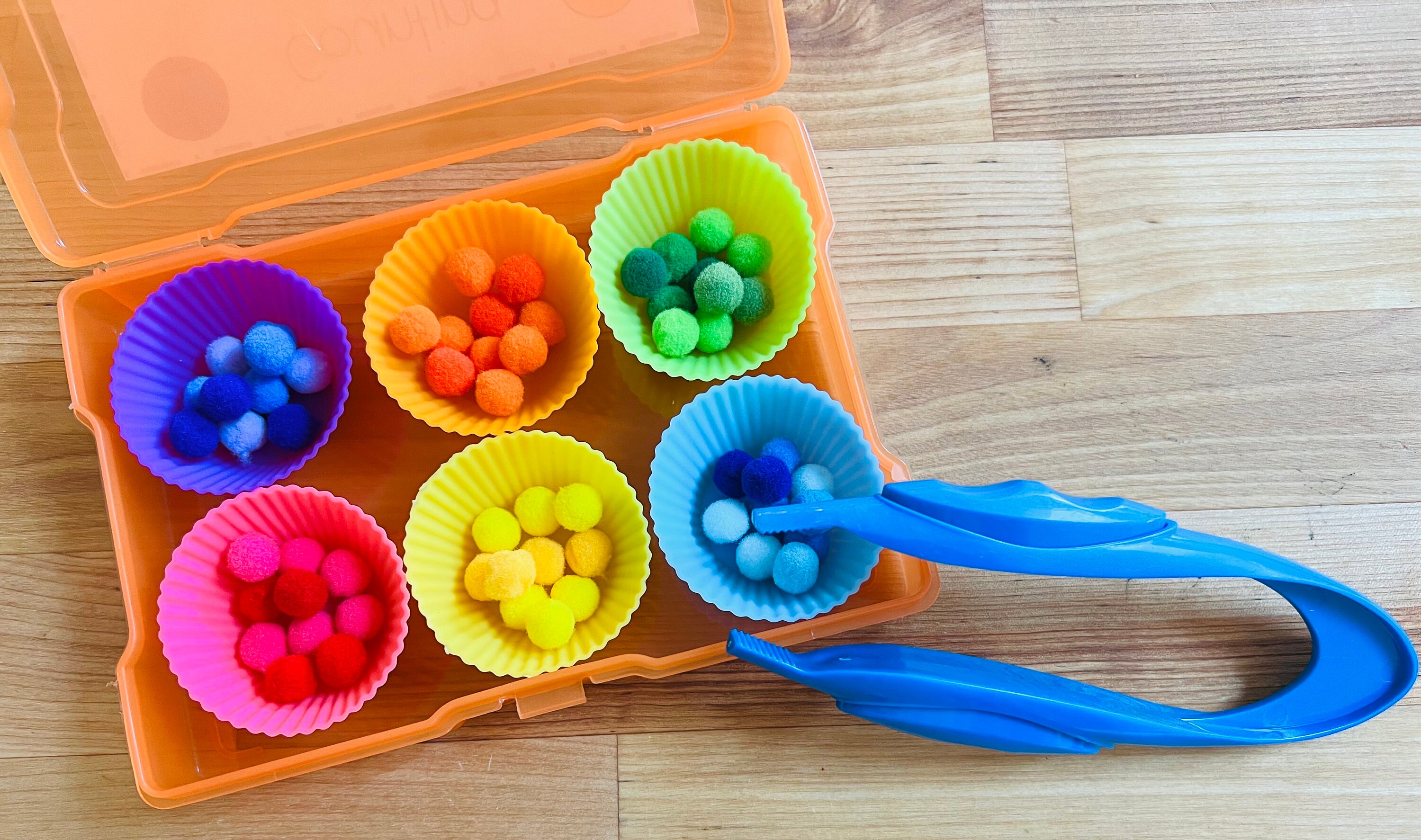 Color Sorting Task Box: Preschool Fine Motor Activity - Etsy