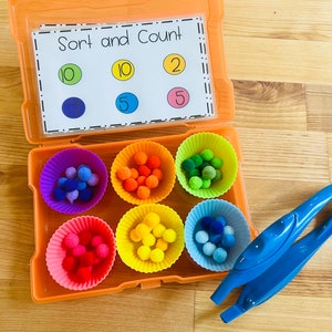 Color sorting task box kindergarten colors task box homeschool preschool colors toddler color activity
