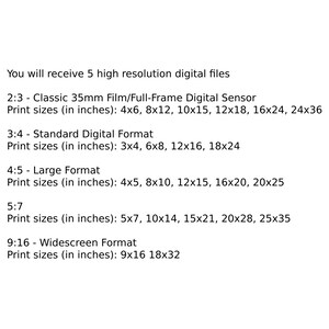 May include: Text explaining the different print sizes available for digital files in five aspect ratios: 2:3, 3:4, 4:5, 5:7, and 9:16. The print sizes are listed in inches.